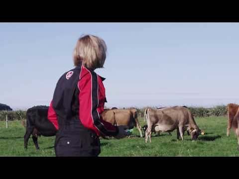 Lely Astronaut pasture based automatic milking - Invercargill, New Zealand