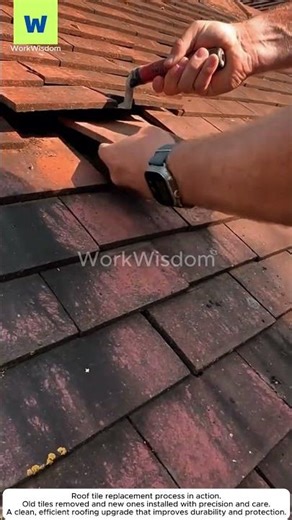Tile Roof Replacement Process | Built to Last