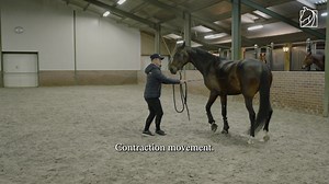 1.2K views · 736 reactions | When starting your young horse, avoid...