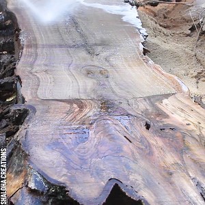 27K views · 145 reactions | Woodworking Delight: Slabbing a Walnut Tree Trunk Partner: Shaloha Creations | Science, Tech and Universe | Facebook