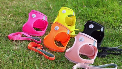 TOCOL for iPhone 14 Screen Protector 9H Hardness Military Grade Shatterproof HD Tempered Glass Full Coverage Easy Installation Case Friendly 2 Pack