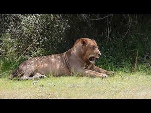 EA Visit to Akagera National Park, Rwanda