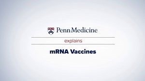 1.4K views · 57 reactions | The COVID vaccine is an mRNA vaccine. But what exactly does that mean and how is it different from other vaccines? Over 15 years ago, Penn Medicine researchers discovered how to modify mRNA to help our bodies combat disease. Now, this same technology is being used to develop vaccines for a number of diseases, including COVID-19. Learn how mRNA works and how it could impact future vaccinations. | Penn Medicine | Facebook