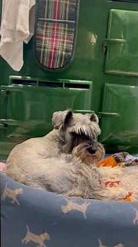 November Slow Living | Cozy Beef Stew on the Aga & Finding Calm #agacooking #slowliving