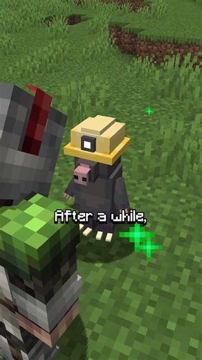 This mod adds neighbors.. #minecraft