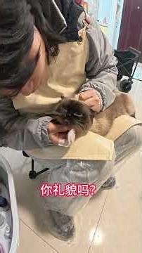 Oops! My Siam Hair Wash Fail! 🤣 Haircare BeautyBlunder