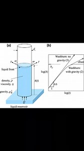 2.3K views · 31 reactions | The CAPILLARITY | Physics, Mathematics and Chemistry Online Academy | Facebook