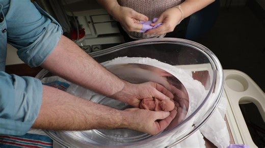 Now through October 1st, my video training course is 50% off. It has never been this low, so please take advantage of it! You will learn: Neonatal Immersion Photography and all the ins and outs of it Posed studio style photography Family bonding documentary photography Props to use Lighting Camera settings and much more! Normally $600, discounted to $300 now! Order it here! https://www.paypal.com/ncp/payment/J6SV7SPSG8Q8A | Deneen Bryan Photography Education