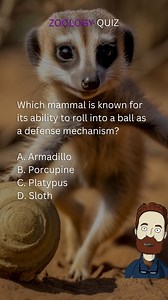 Zoology Quiz | Creatures of Earth Quiz 🔍🌍🐾🦁 | #zoology #zoo #animals #nature #quiz #learning #education #knowledge #school #challenge #quiztime #trivia #facts #brainteaser #fbreels #reelsfb #reels #viralreels #fyp #quizbee | Quizzy Bee