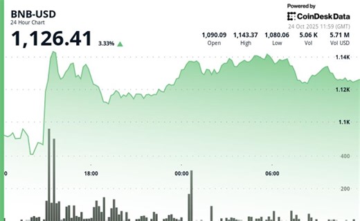 Why is BNB Up Today? Price Jumps, Token Sees 35% Volume Spike After CZ Pardon