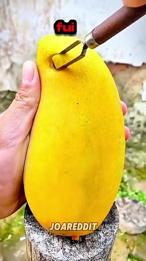 Fui echado de casa en la adolescencia por rumores falsos que mi hermana difundió. Años después, mis padres reaparecieron en mi vida, pidiendo dinero cuando vieron mi éxito, a pesar de que me habían abandonado #tiktokspain #redditespañol #storytimeespañol #askreddit #historiasreddit