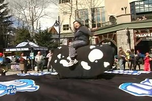Ready for action? Check out this video of Brenda riding the Milk 2 Go mechanical cow at Telus Ski and Snowboard Festival in Whistler. | Milk2Go / Lait’s Go
