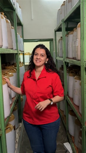 Keertida on Instagram: "Pickles are my jam! I love traditional pickles, and at @aamrabynsk I got to see how they age their pickles in Barnis + got to see the process as well as taste pickles made following time-honored techniques. My idea of being in a candy store! Yes, as someone with an absent sweet tooth, pickles > candy. Winters = parathas = pickles, and Aamra’s Gobhi Gajar Shalgam Achaar is a staple this season, while their Meetha Neembu pickle that’s aged for 2 years is stocked in my pantr