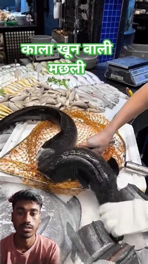 Insane Swamp Eel Cutting Skills | Satisfying & Shocking 😱🔥