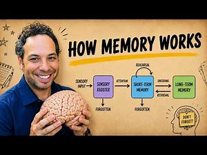 How Memory Works...And Why It Fails You (Explained Simply!)