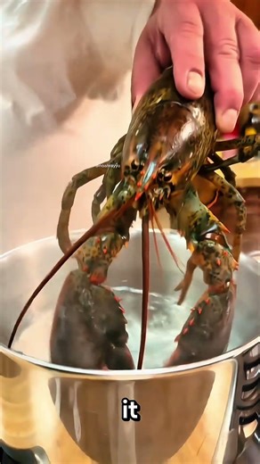 The Most Humane Way to Kill a Lobster ⁉️😱