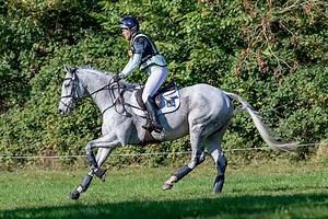 Help! My horse is strong — what should I do? - Horse & Hound