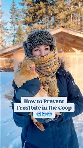 Here’s How to Prevent Frostbite in the Coop
