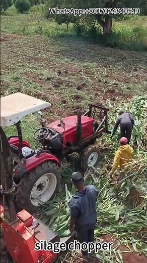 Silage Chopper in Action | Efficient Animal Feed Processing Machine Demonstration
