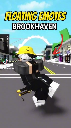 Leandro Ferrer (@leandro.ferrer68)’s video of brookhaven