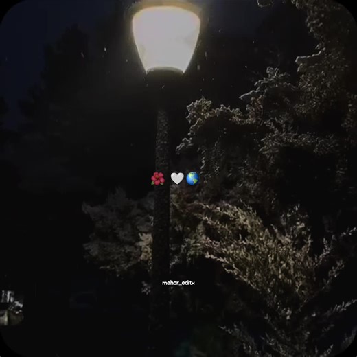 Exploring Aesthetic Music and Lyrics for Editing