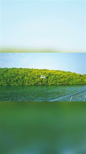 Check ur display quality with this video also which transition is good #technicalguruji 🗿