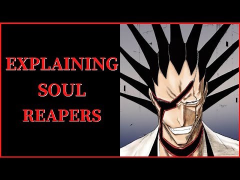 Soul Reapers Explained (Bleach)