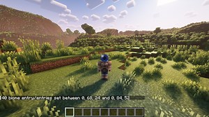 How to change biome in Minecraft using commands