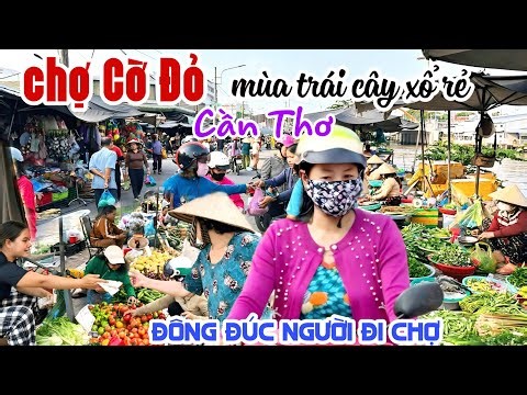 NHỘN NHỊP CHỢ CỜ ĐỎ CẦN THƠ MÙA TRÁI CÂY XỔ RẺ ĐÔNG RẦN RẦN NGƯỜI ĐI CHỢ KPVL