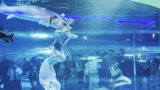 Shocking moment giant fish attacks 'mermaid' leaving crowd screaming in terror