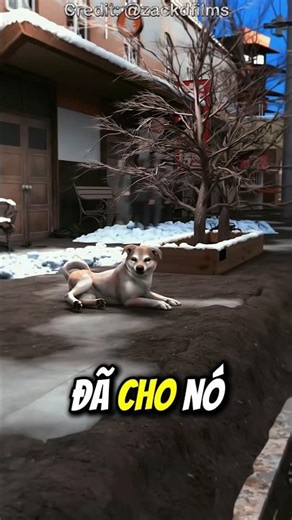 This Dog Has Been Waiting For His Owner At The Train Station 'For 10 Years' 🐶 (A True Story That ...