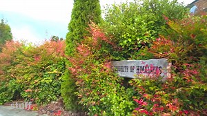 Another day, another gorgeous garden. Maybe go and have a squiz while the sun's out! http://www.stuff.co.nz/life-style/homed/garden/97364359/360-spectacular-himalayan-garden-of-tranquility | Taranaki Daily News