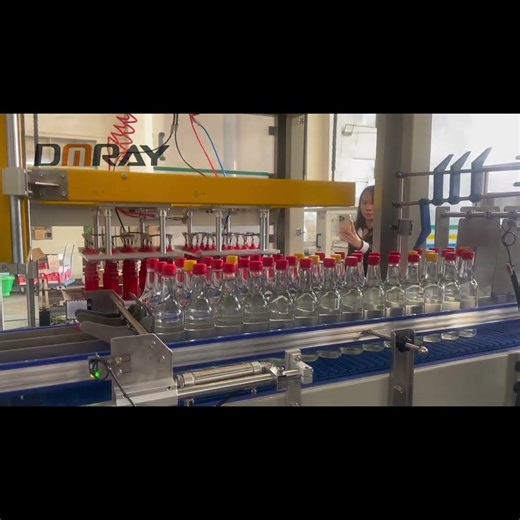 glass bottle case packer,output 10-15bpm #packagingmachine #casepacker #factory #packagingsolutions