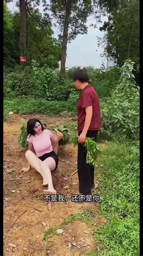 #타임랩스, 처음부터 끝까지 혼자 짓는 통나무집(목조주택), 목조주택 짓는 방법, 생존 EP 266