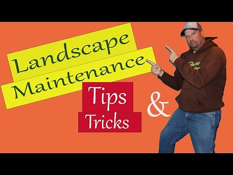 Landscaping For Beginners / Maintenance Tips