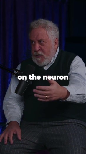Why Your Brain Physically Demands Creatine