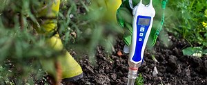 Why Is Soil pH Important for Plant Health?