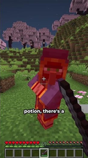 Rarest drops in minecraft