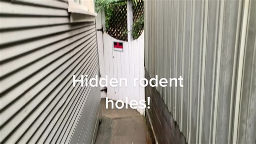 Smart Pest Pros on TikTok