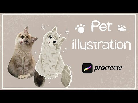 Easy Cat illustration in Procreate (Pet portrait from photo)