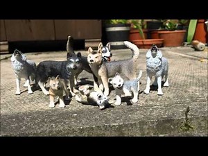 Schleich Wolf and Husky toy collection