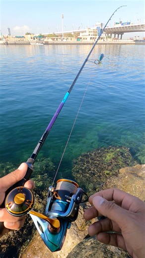 Top water lure How to cast and play/Pop Popper with my own Style🤣🎣🥴 #fishing #uaefishing #PinoyAnglers #highlightseveryone #fishingadventure #popper #topwaterfishing #TopwaterLures | Pisot Anglers