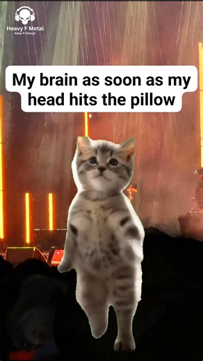 🧠 | Heavy F Metal