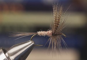 Classic Video: How to Tie a Hendrickson, Catskill-Style - Orvis News