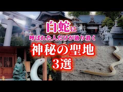 【白蛇神社３選】受け継がれてきた白蛇・弁財天信仰、水の恵への祈り、豊かさや幸せを願う心