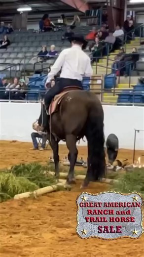 4.6K views · 70 reactions |  Don’t miss the All-Natural Trail Horse Competition! Watch talented horses tackle trail obstacles and show off their skills. The top 10 will return for the finals! It’s a must-see event for any horse lover!  #TrailHorseCompetition #NaturalSkills #HorseSale | Great American Ranch and Trail Horse Sale | Facebook