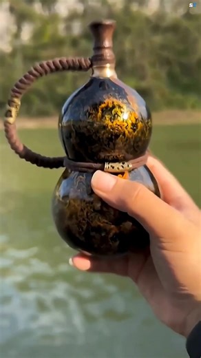 Why People Still Use This Fruit to Store Water? #facts #ytshorts #trending