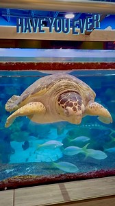 Oklahoma Aquarium on Reels