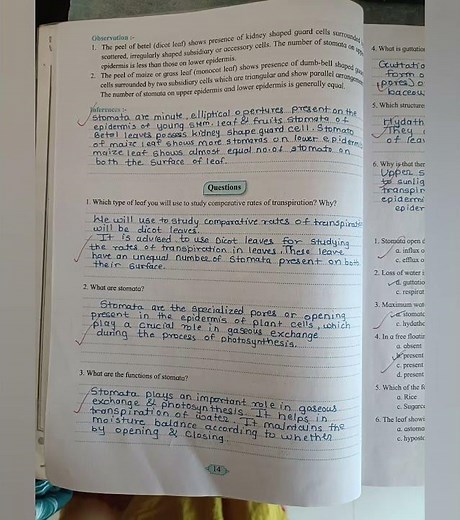 Class 12th Biology Pratical No A.3. Study Of Structure And Distribution Of Stomata !!