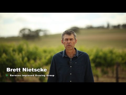 Cost Benefit Analysis of Multi species Pastures